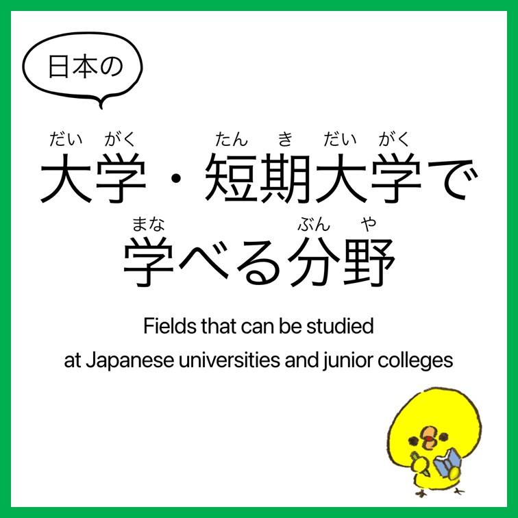 日本の大学・短期大学で学べる分野